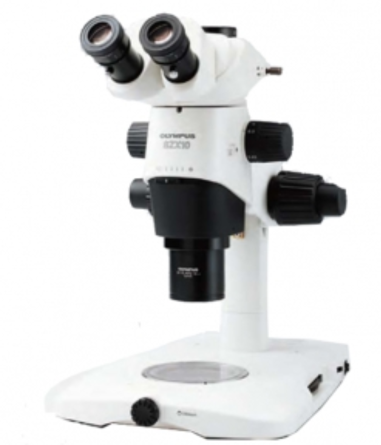 奥林巴斯 SZX10研究级系统立体显微镜