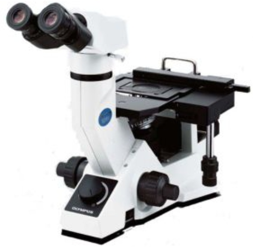 奥林巴斯 GX41经济型倒置显微镜