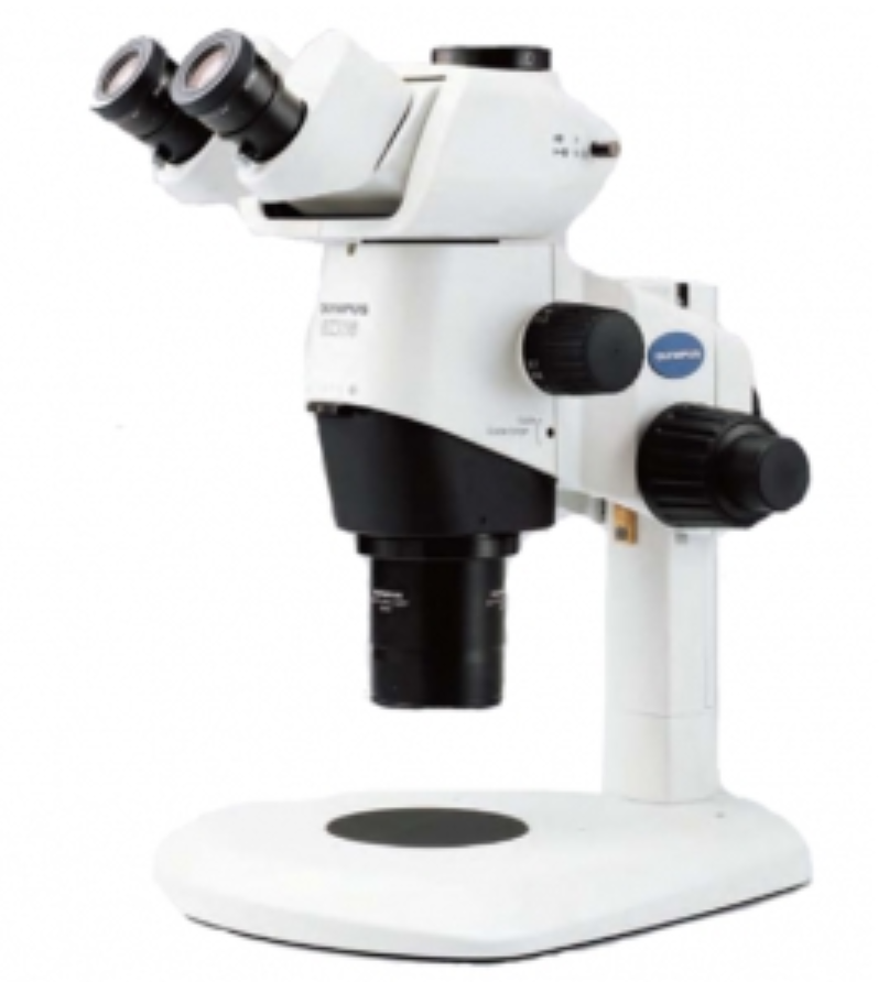 奥林巴斯 SZX16研究级系统立体显微镜